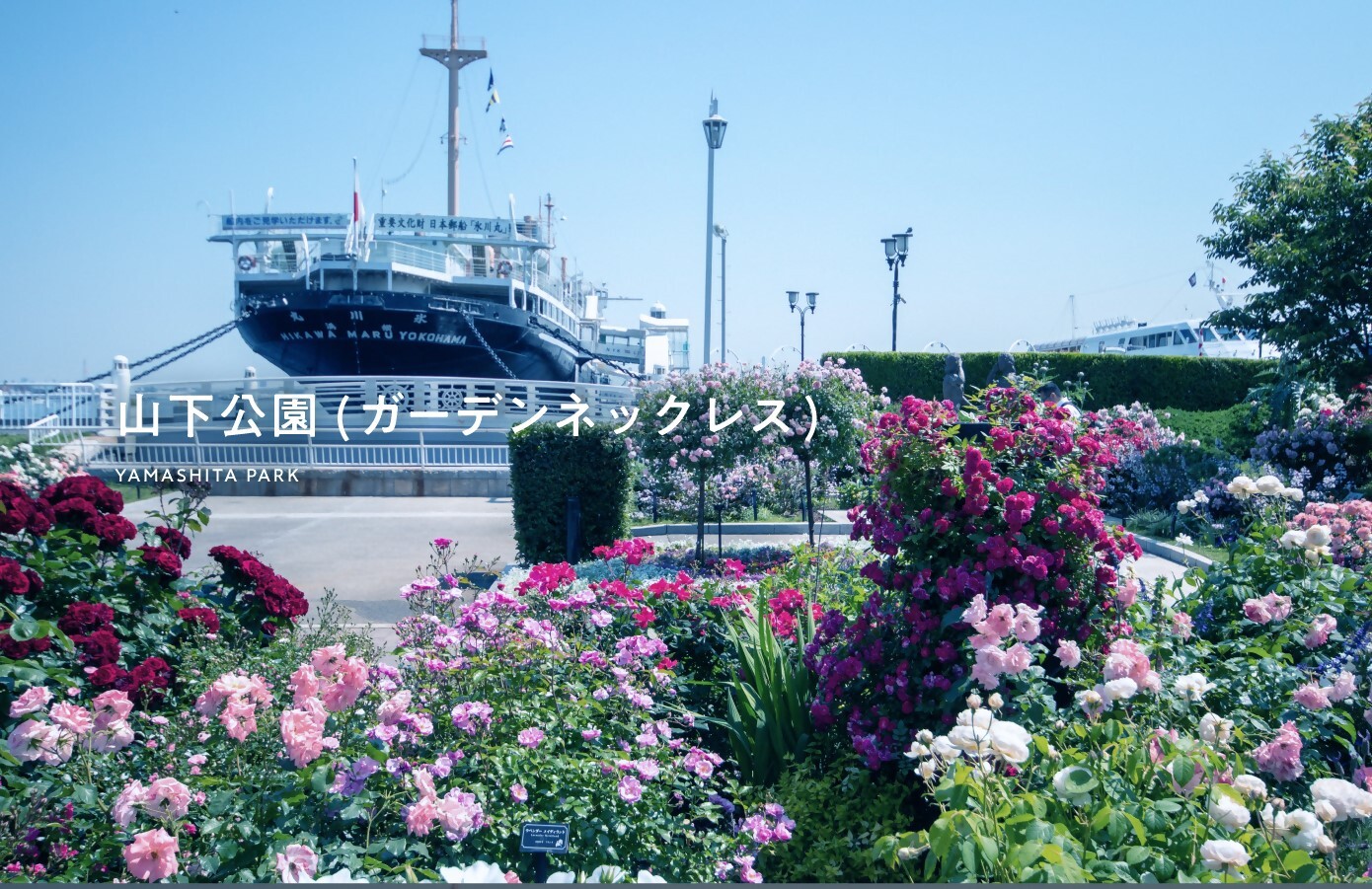 今だけのワープ！