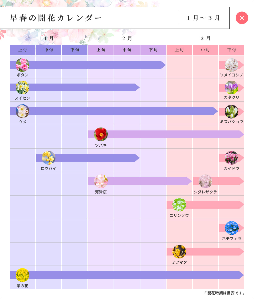 早春の開花カレンダー