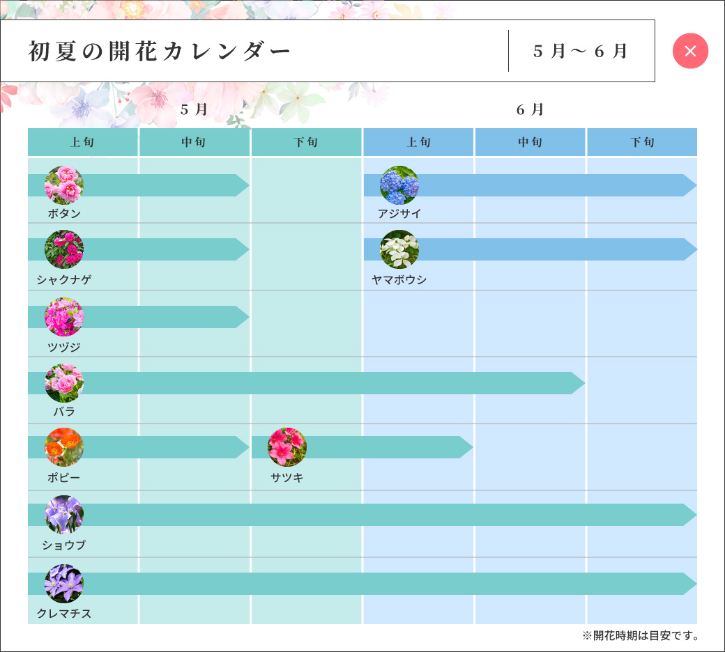 初夏の開花カレンダー