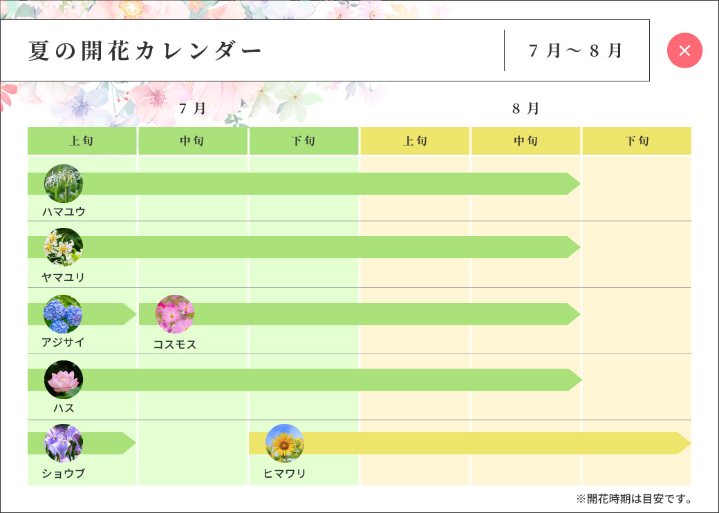 夏の開花カレンダー