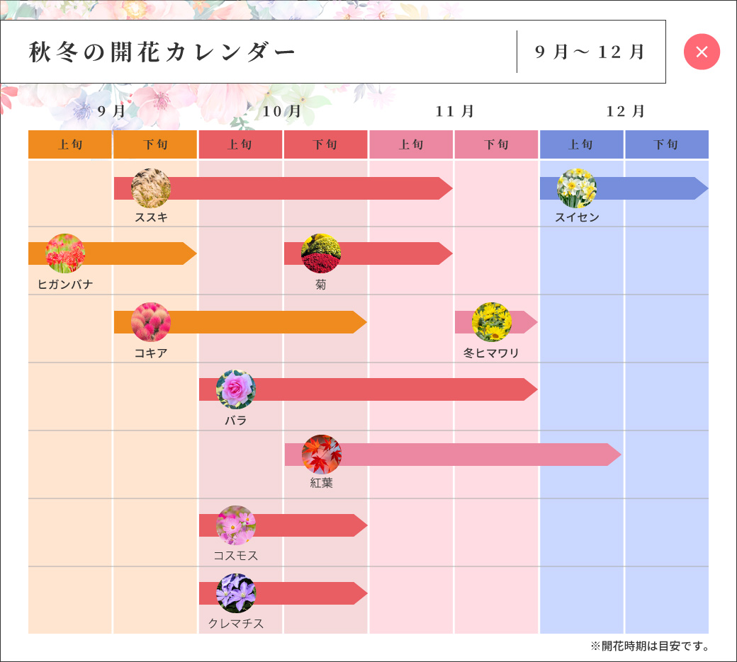 秋冬の開花カレンダー