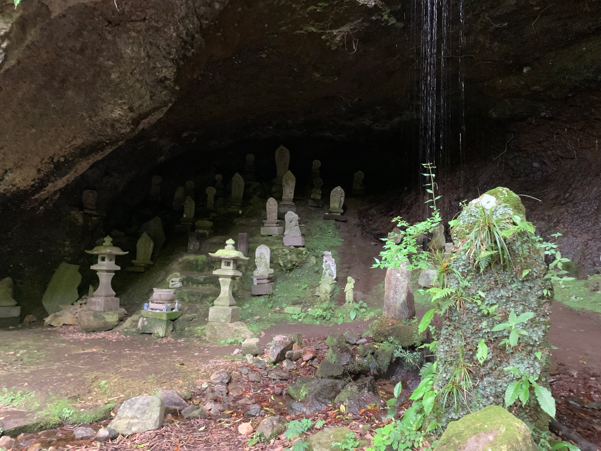 登場したゆかりの地