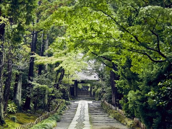 登場したゆかりの地