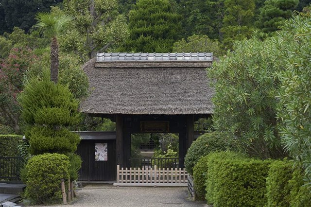 登場したゆかりの地