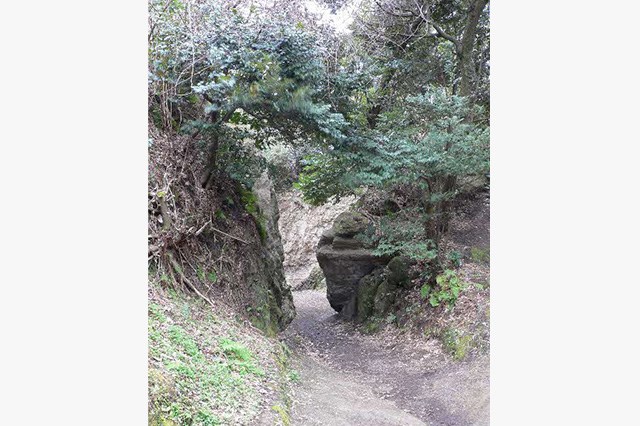 登場したゆかりの地