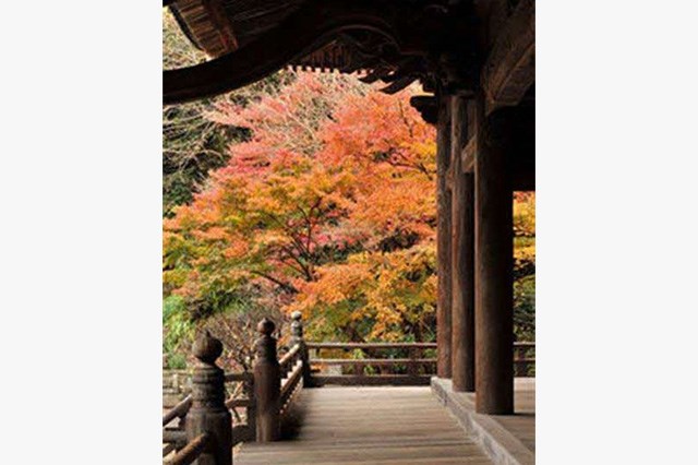 登場したゆかりの地