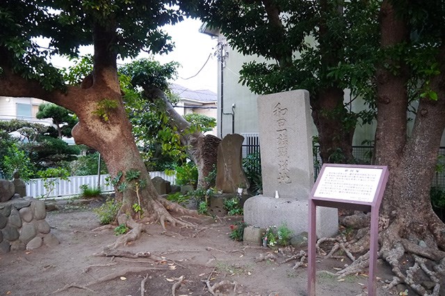 登場したゆかりの地