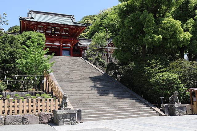 登場したゆかりの地