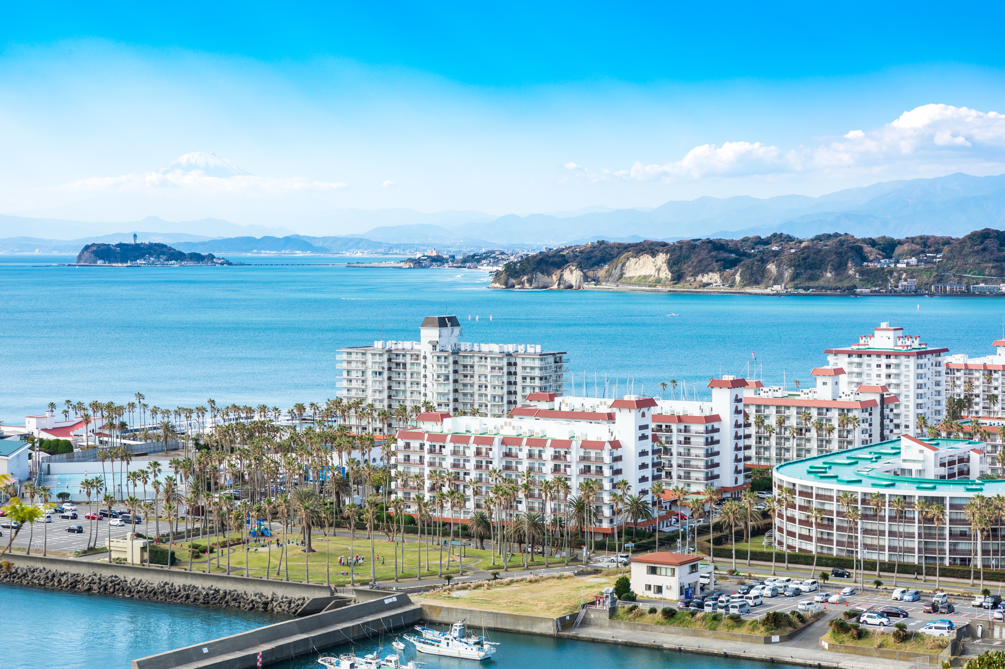 「かながわ 三浦半島エリア」をもっと知る！