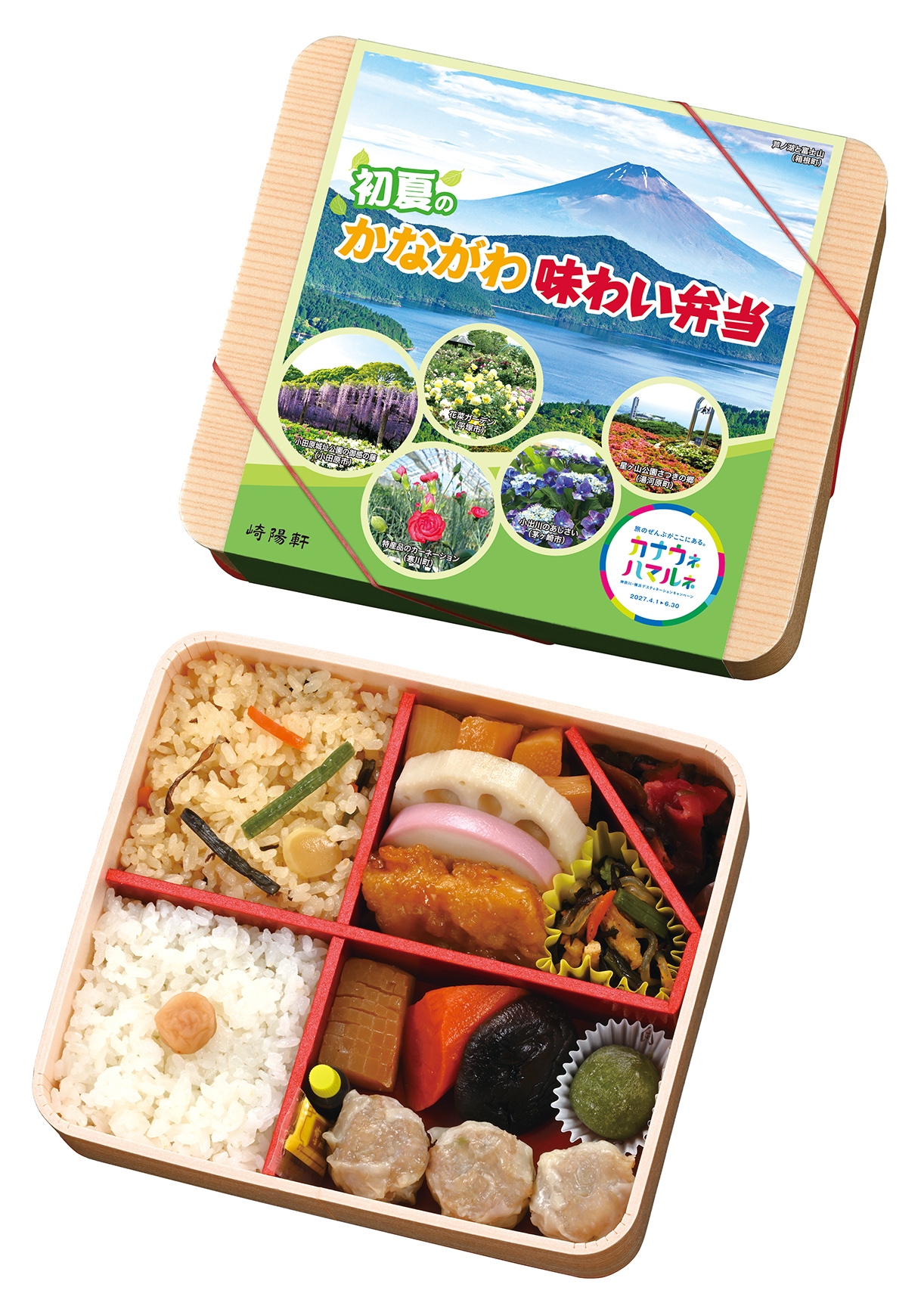 小出川のあじさいが崎陽軒『初夏のかながわ味わい弁当』の掛け紙に登場！
