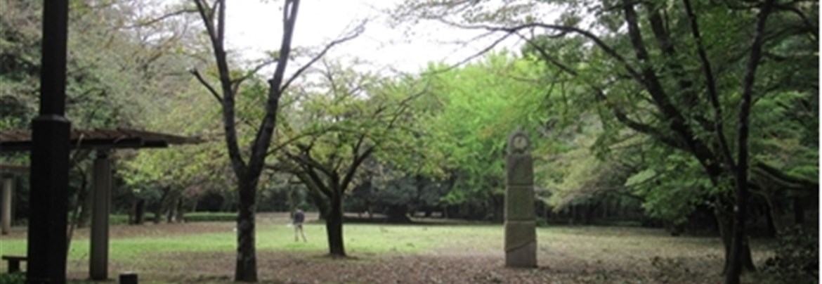 早川城跡（城山公園）