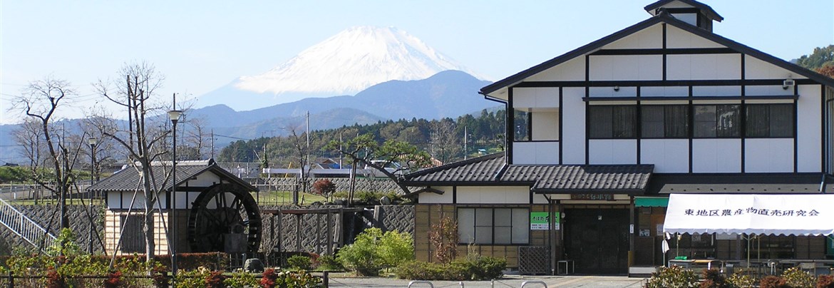 源実朝公御首塚、大聖山 金剛寺