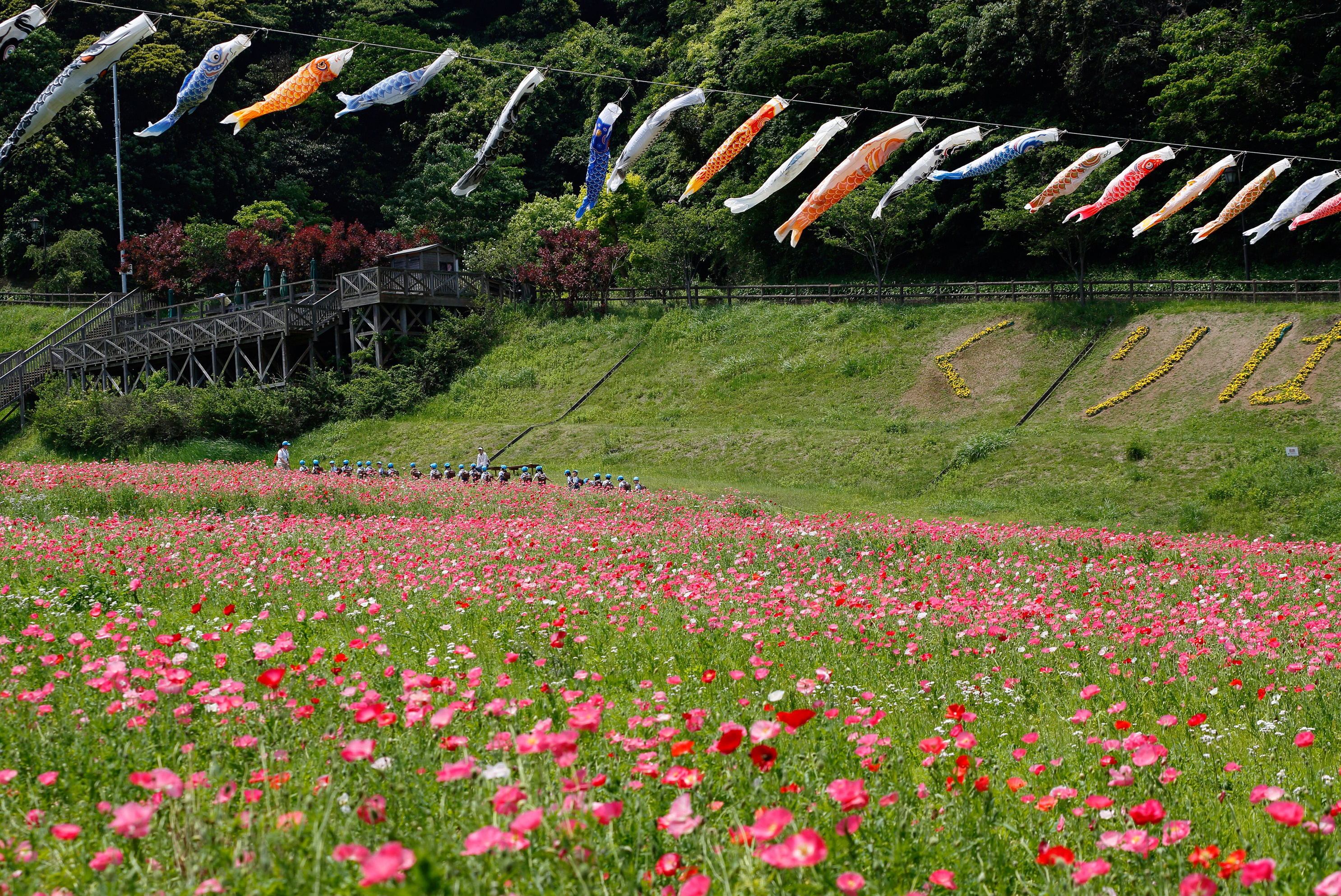 くりはま花の国「楽しい遠足」