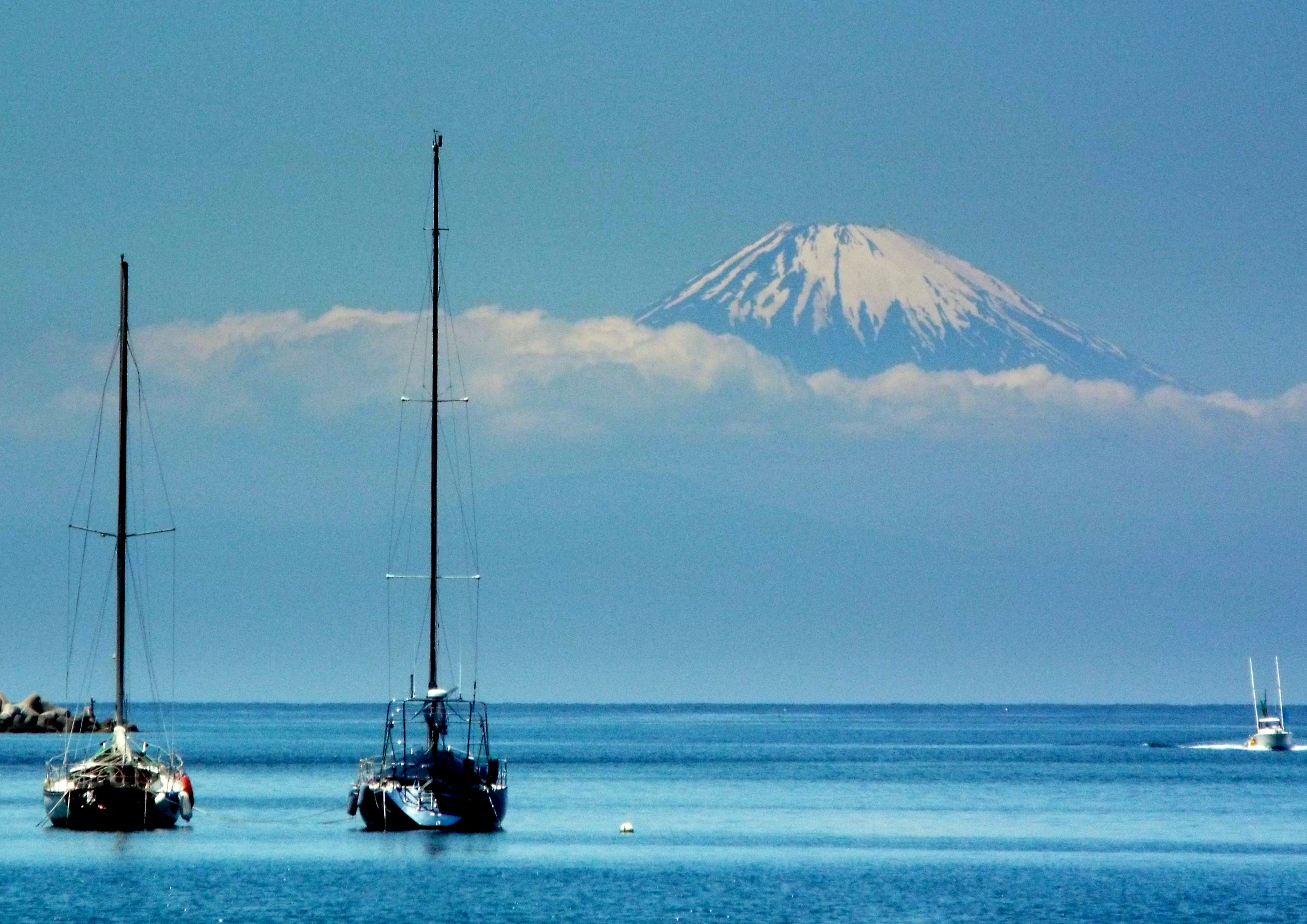 三浦市「三浦諸磯からの富士」