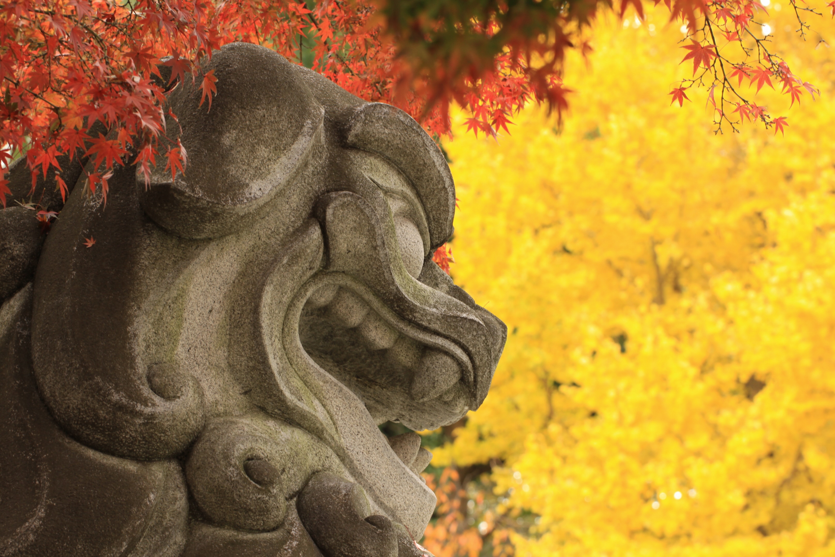 寒川神社「横顔」