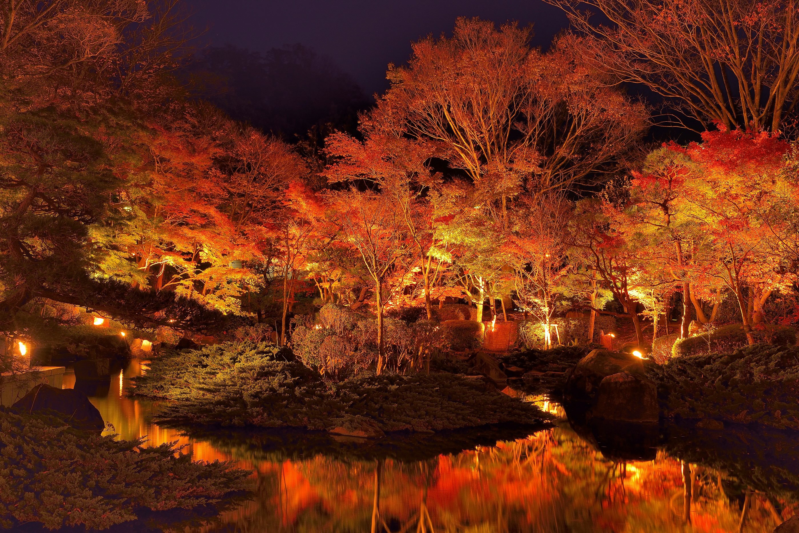 大磯城山公園「紅に包まれて」