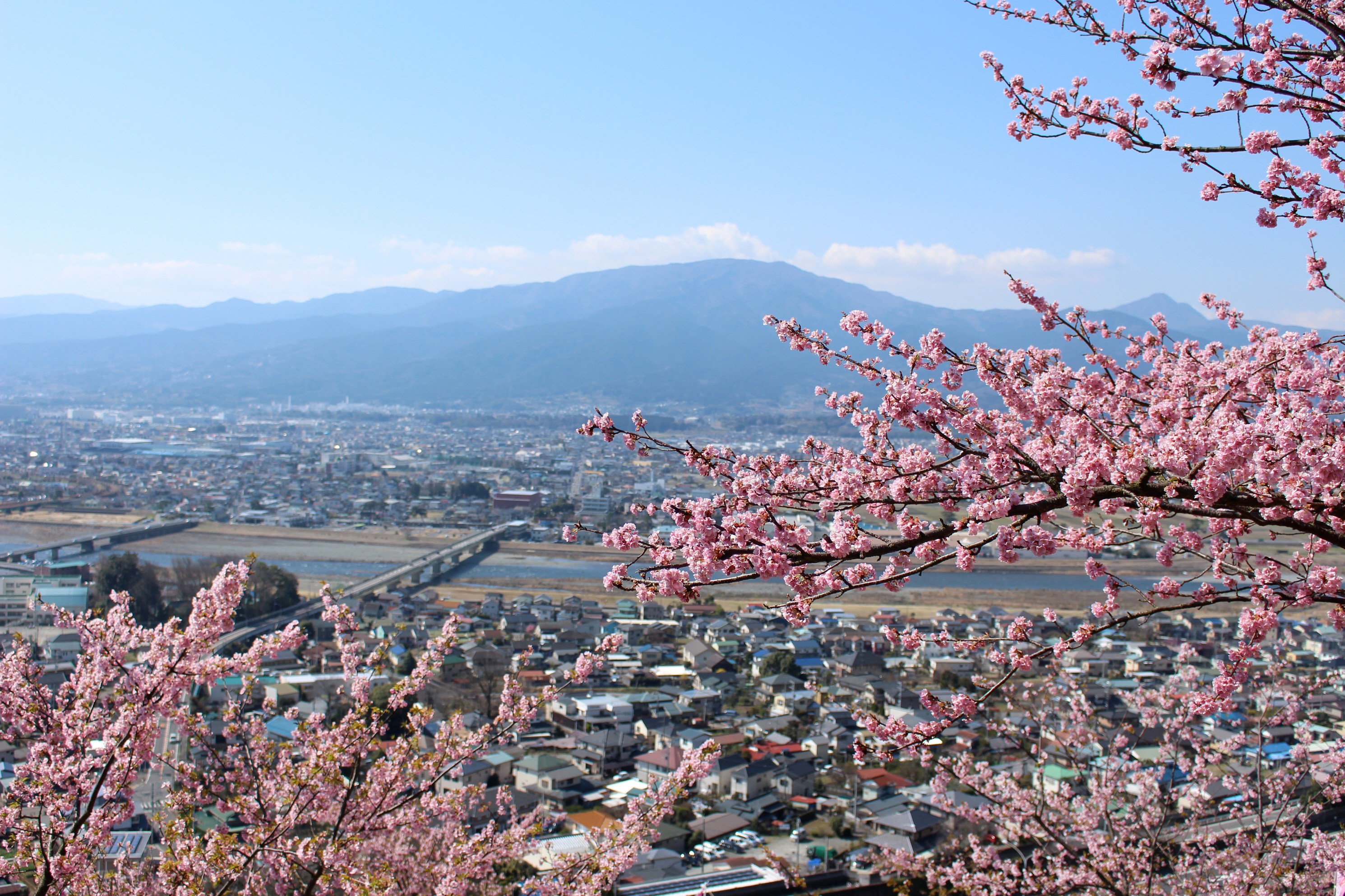 松田町「天空に咲く花」