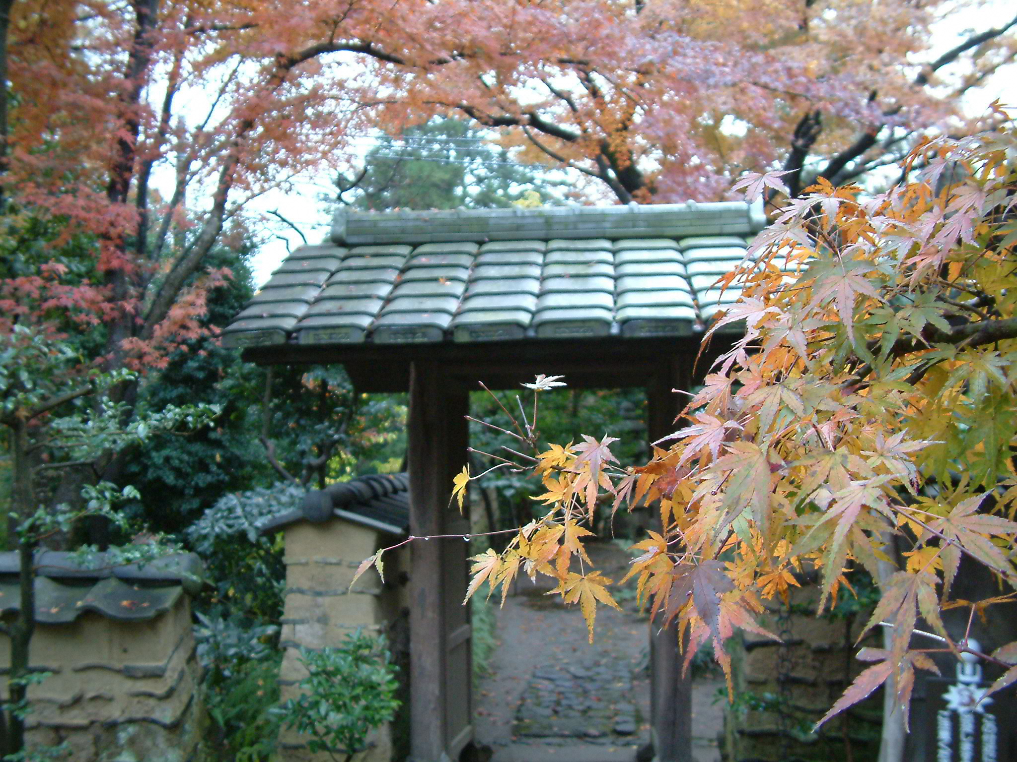 郷土文化館分館 松永記念館「松永記念館の紅葉」