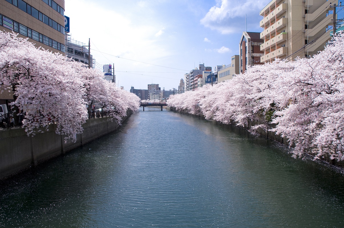 大岡川プロムナード【横浜市】