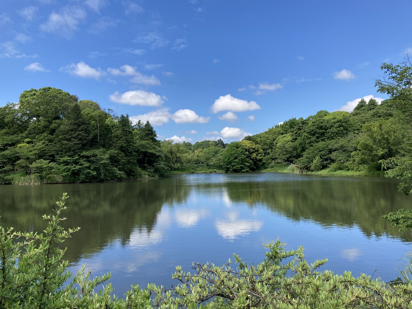 三ツ池公園