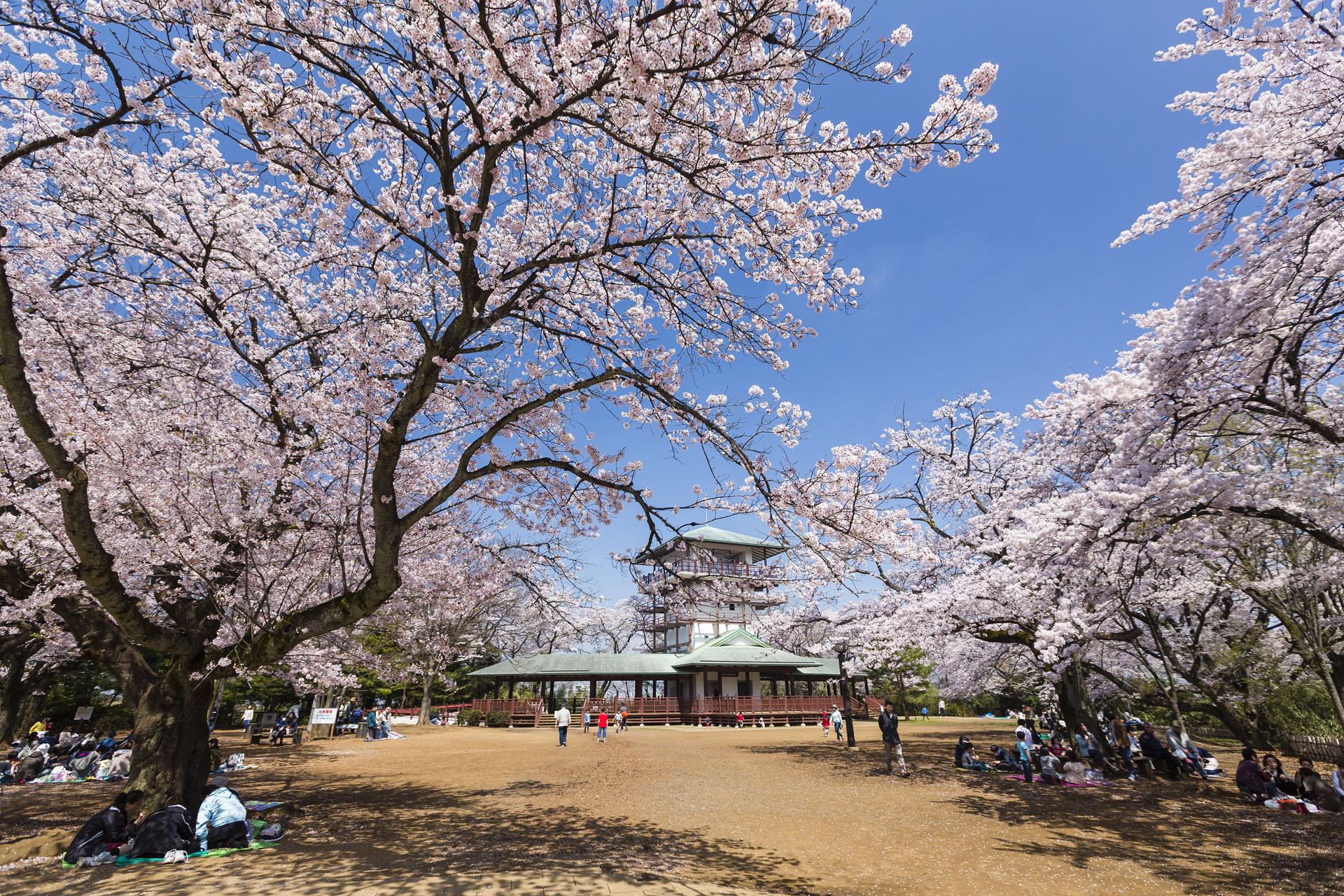 生田緑地【川崎市】