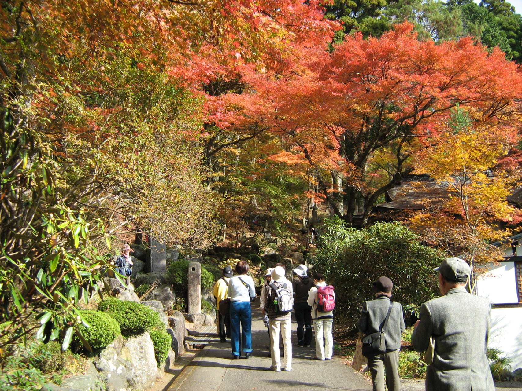 長安寺（紅葉編）