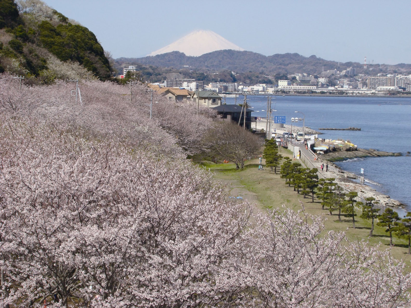 走水水源地公園【横須賀市】