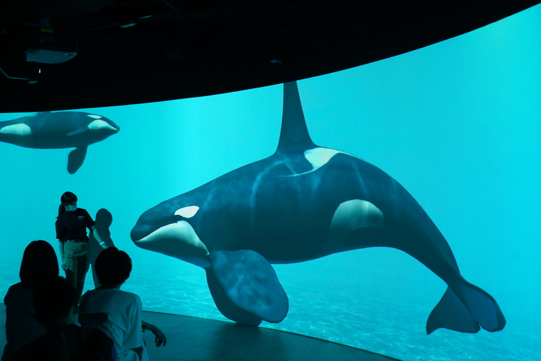 おとなのお子様ランチとカワスイ特別体験＆工場夜景ドライブ（日帰りバスツアー）