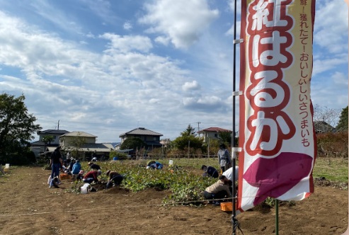 秦野いとう農園