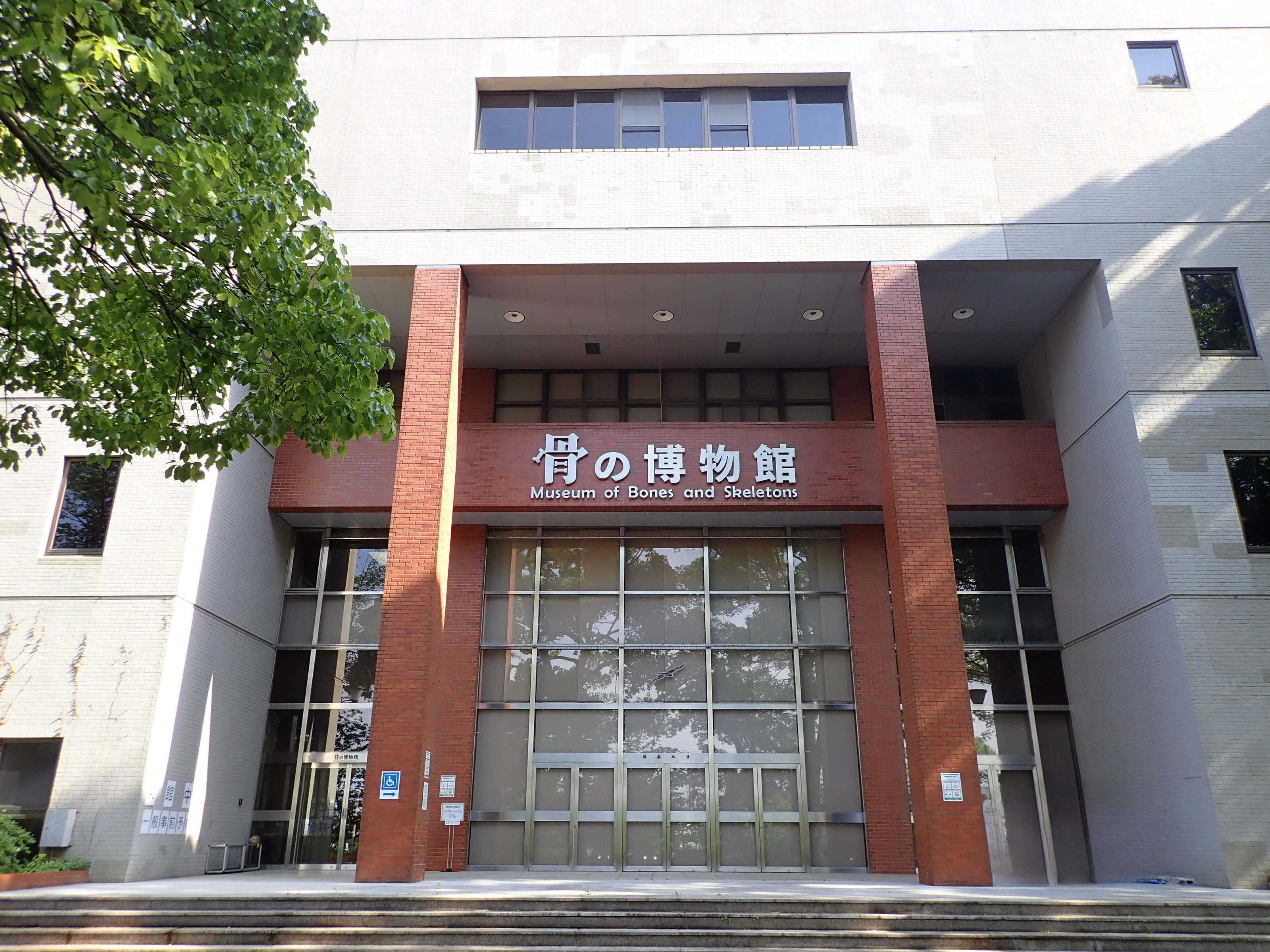 日本大学生物資源科学部博物館（骨の博物館）