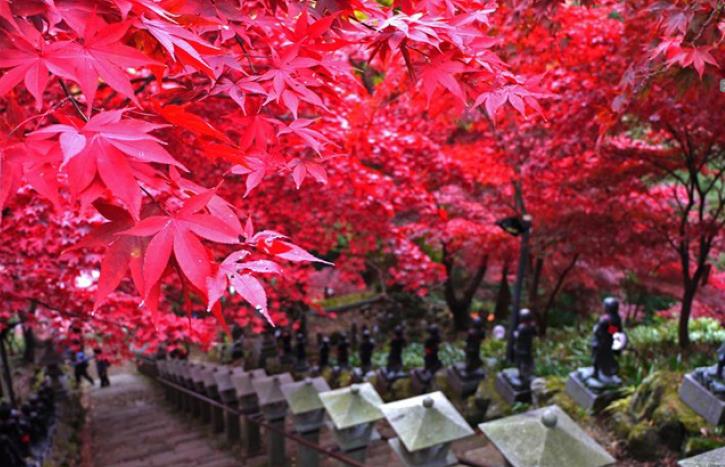 大山寺