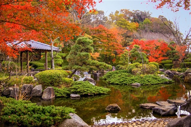 大磯城山公園