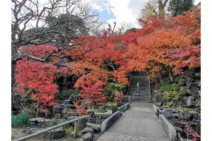 長谷寺