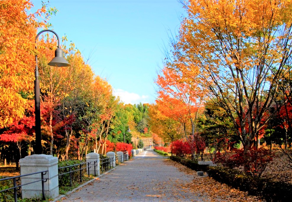 県立茅ヶ崎里山公園