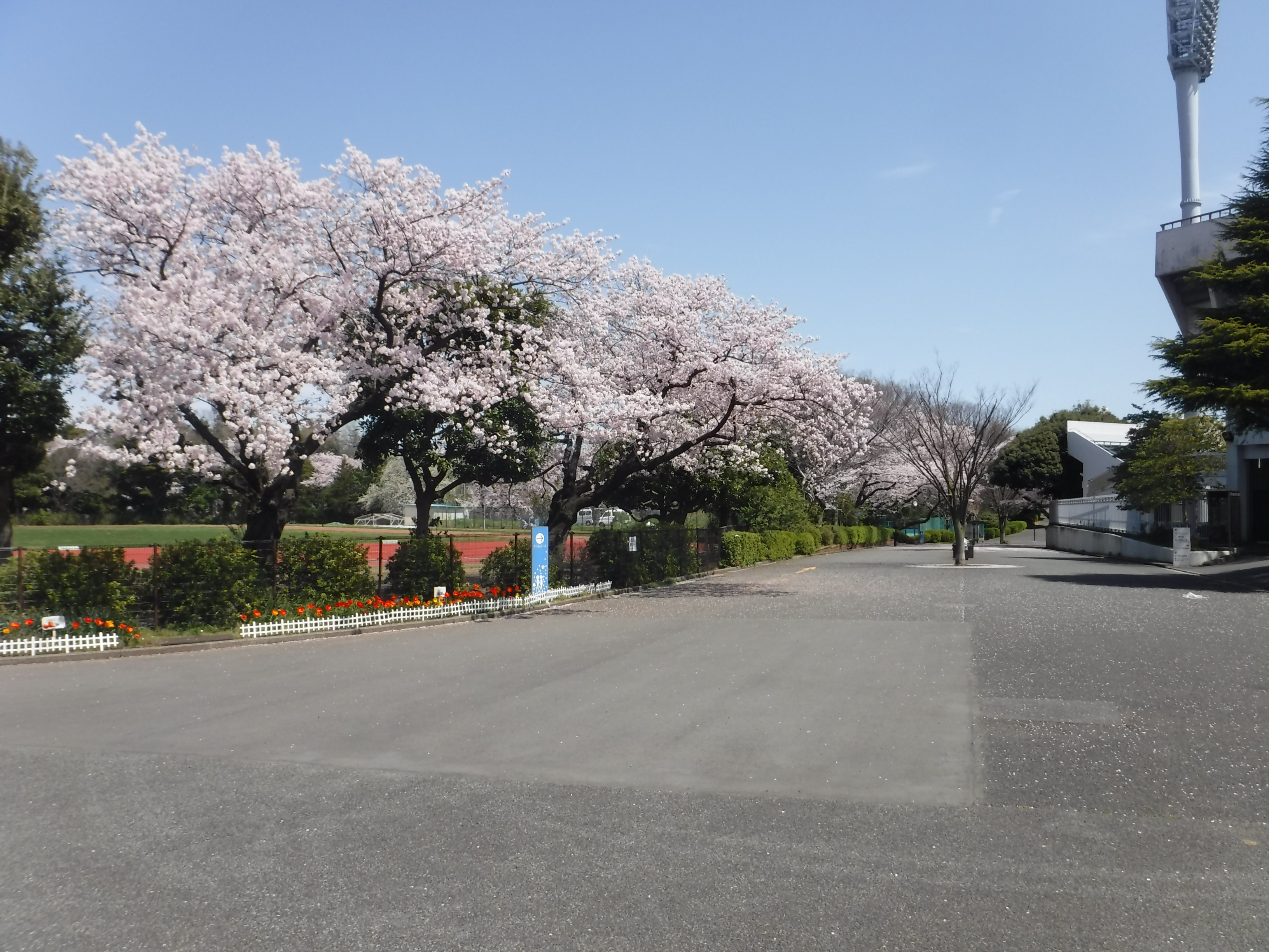 三ツ沢公園【横浜市】