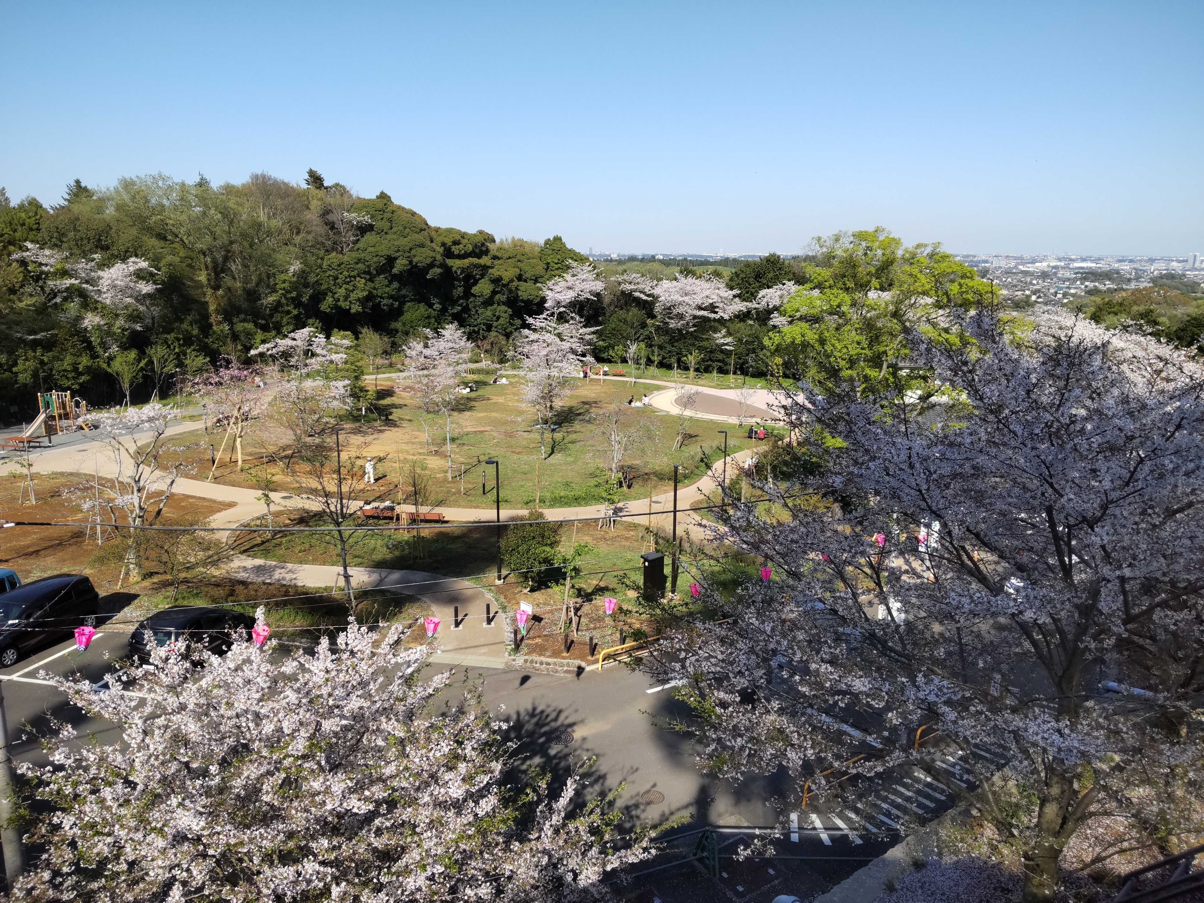 飯山観音 長谷寺【厚木市】