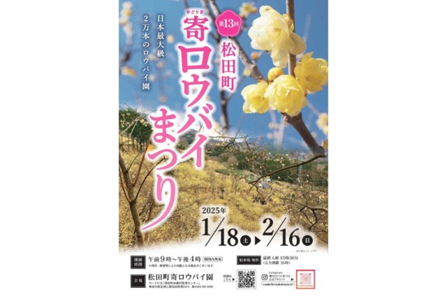 【2025年は開催終了】寄ロウバイ園（寄ロウバイまつり）