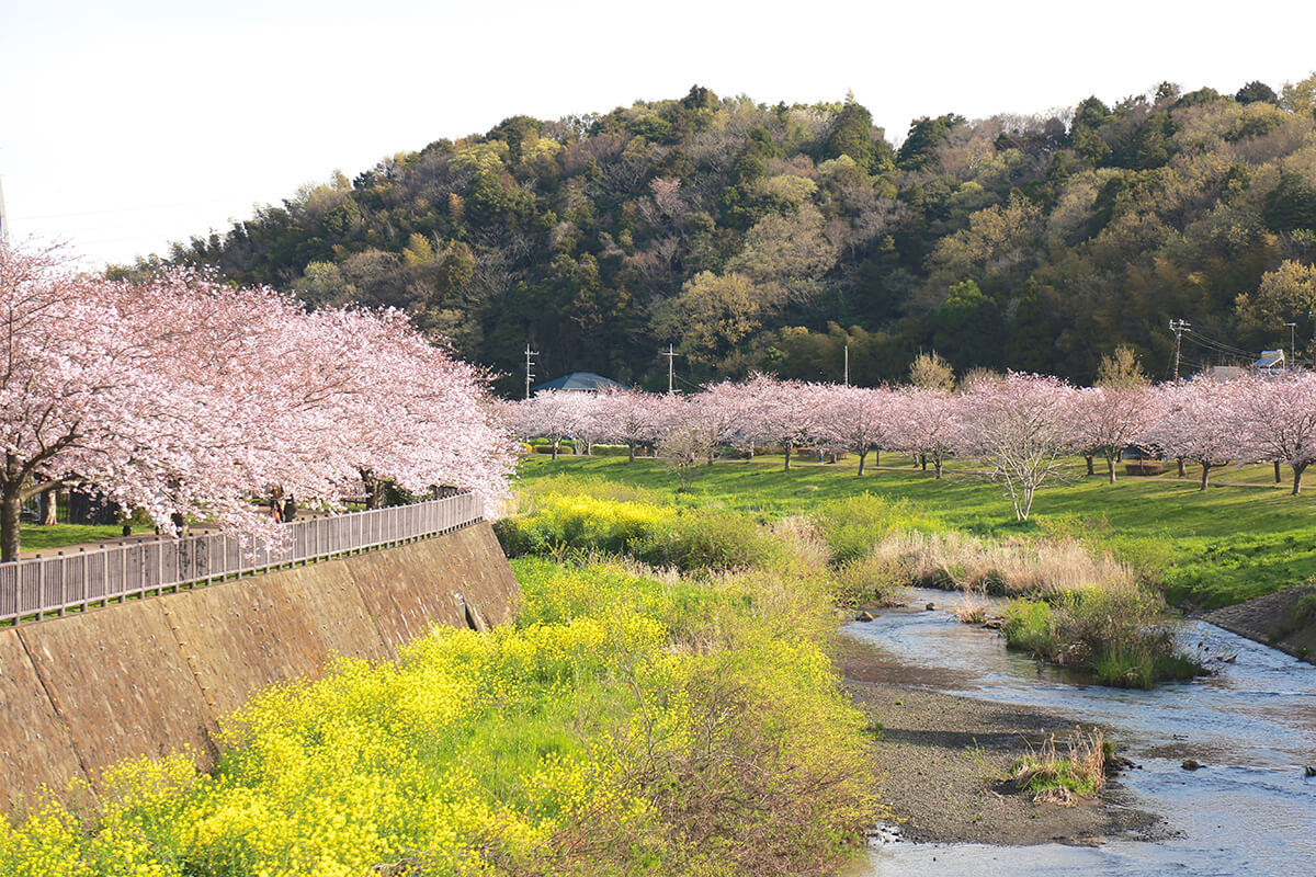 引地川親水公園（藤沢市）