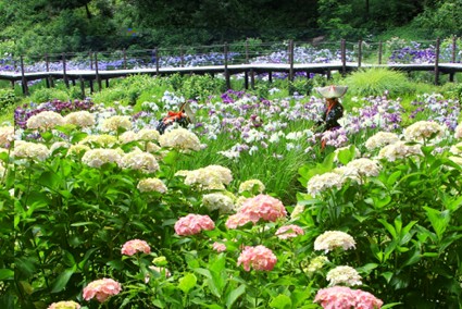 二宮せせらぎ公園の写真(神奈川県横浜市中区)