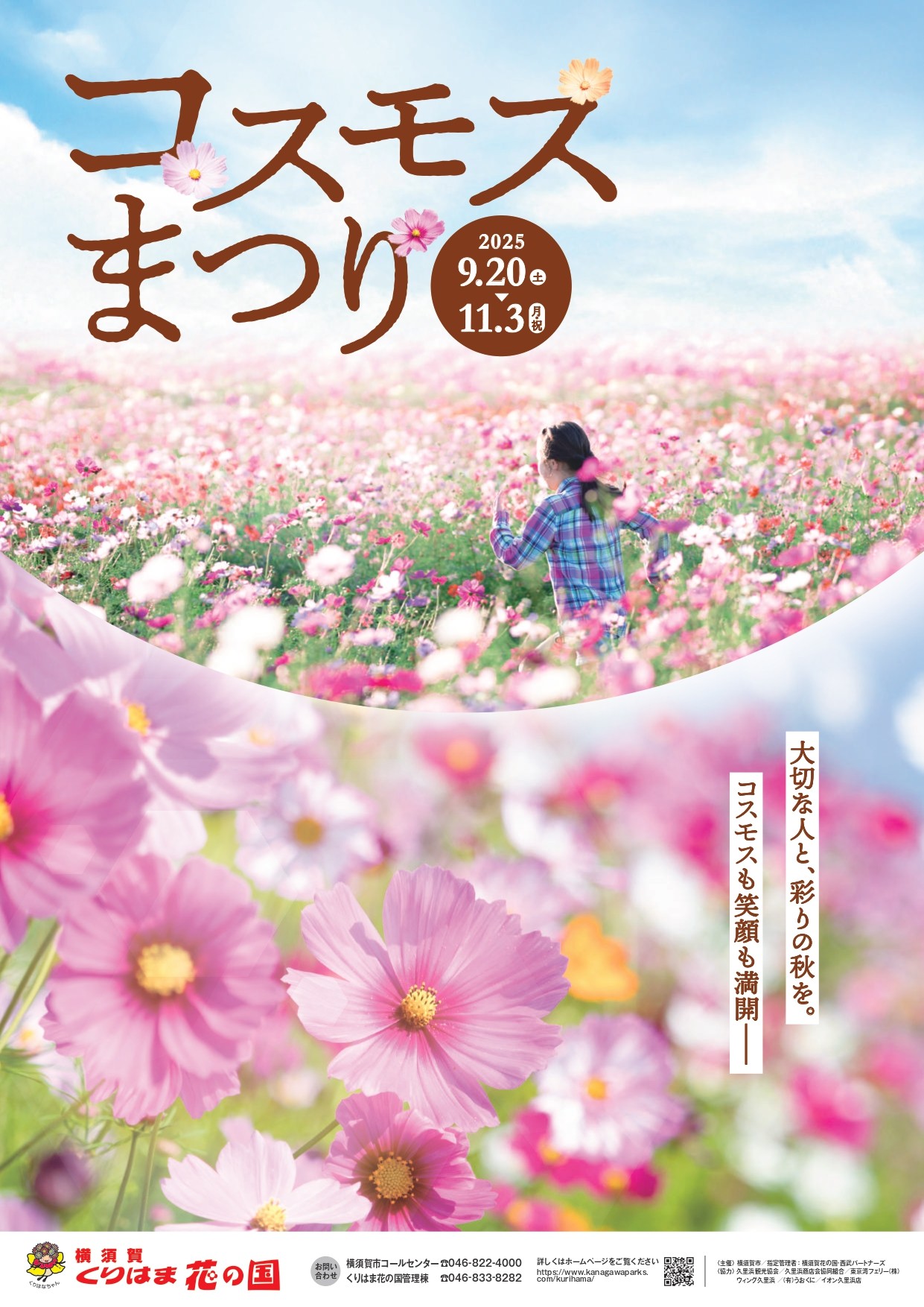 くりはま花の国「コスモスまつり」