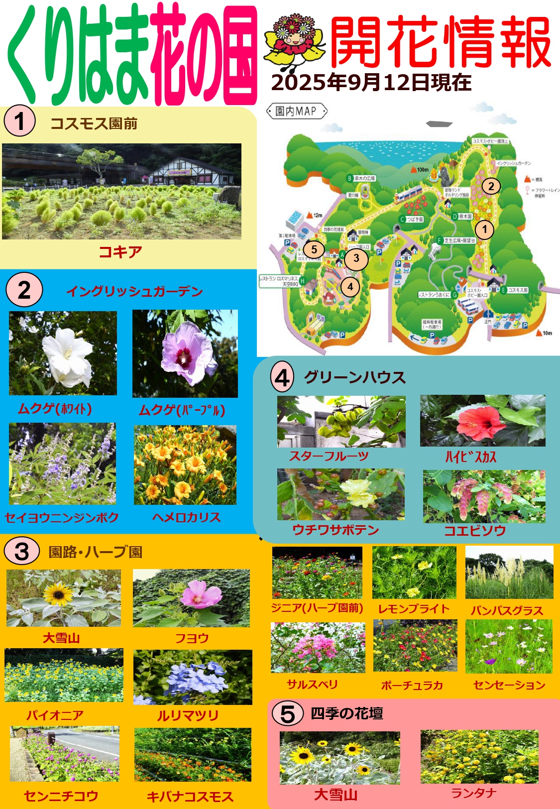 横須賀くりはま花の国・9/12～開花情報
