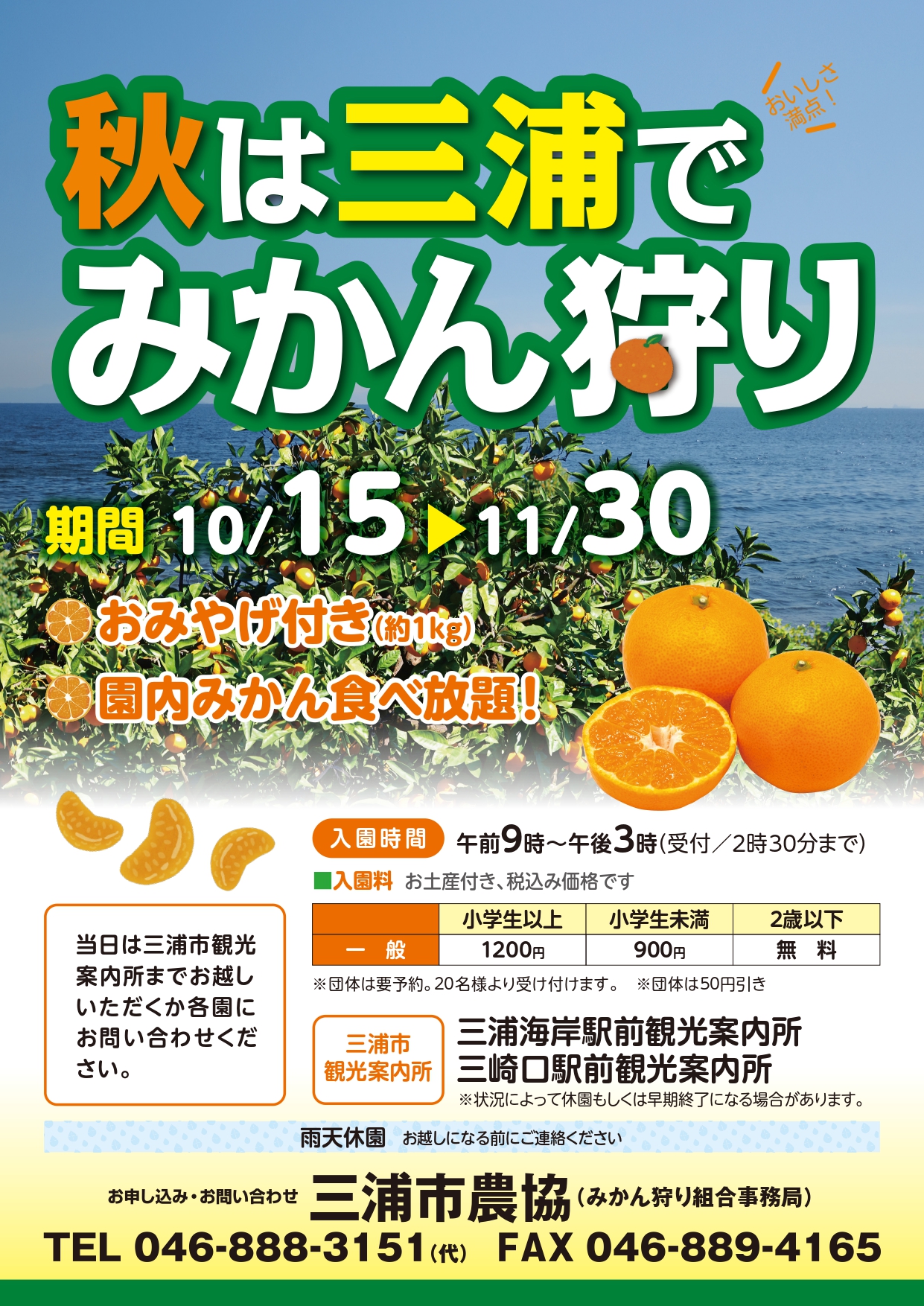 【三浦市】秋は三浦でみかん狩り2025