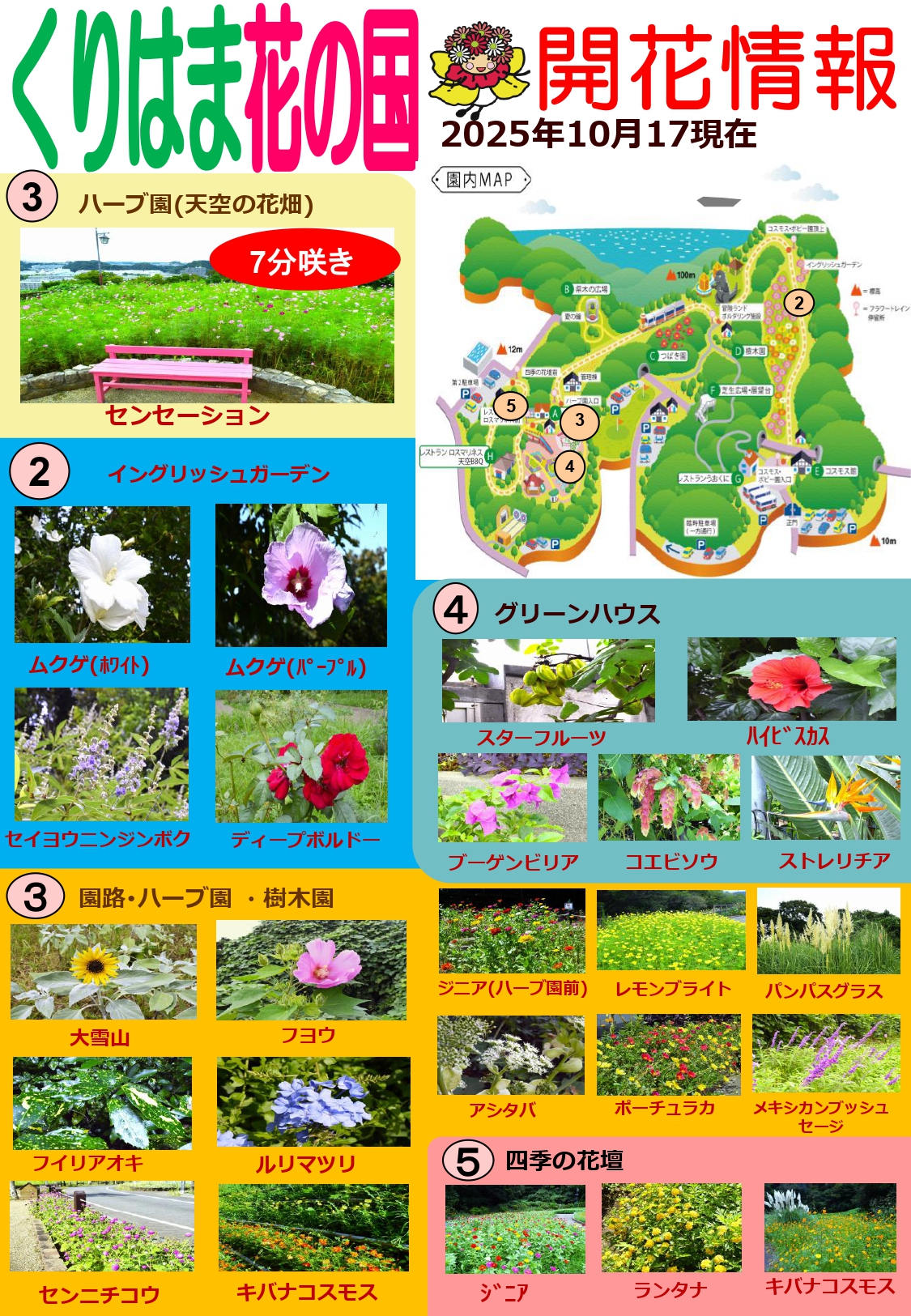 横須賀くりはま花の国・10/17～開花情報