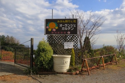 【小田原市】オーランジェ・ガルデン（みかん狩り）