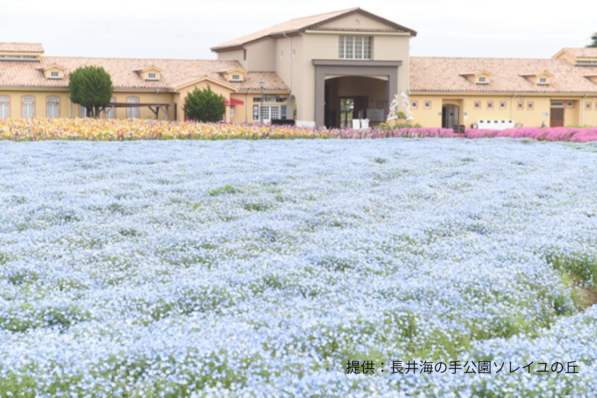 長井海の手公園ソレイユの丘