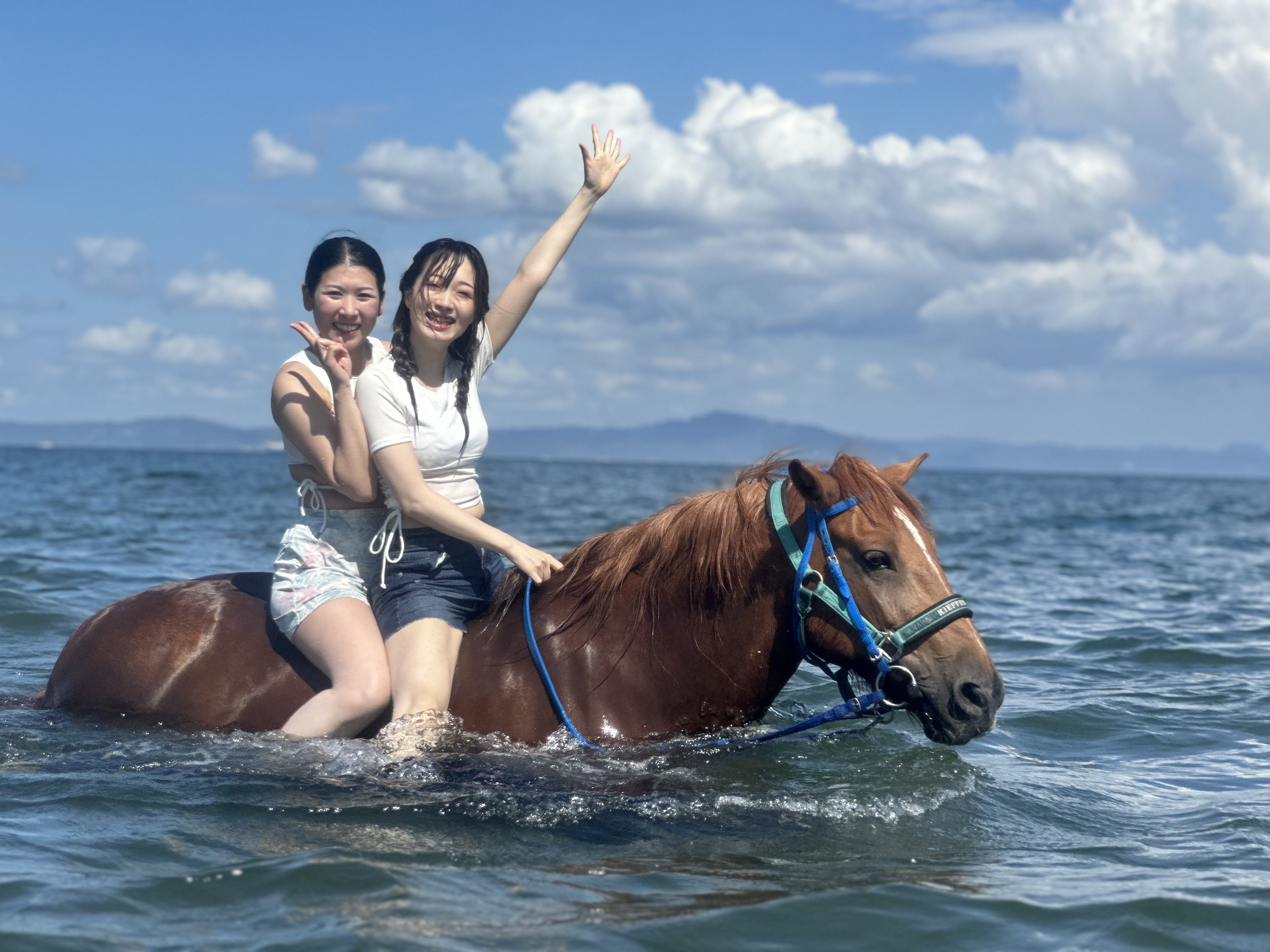 ホーストレッキングファーム三浦海岸の外観